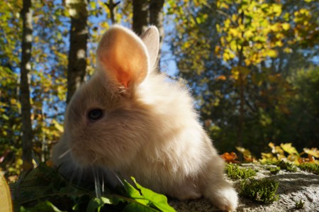 Norra Vikens Benjamin: STANNAR!